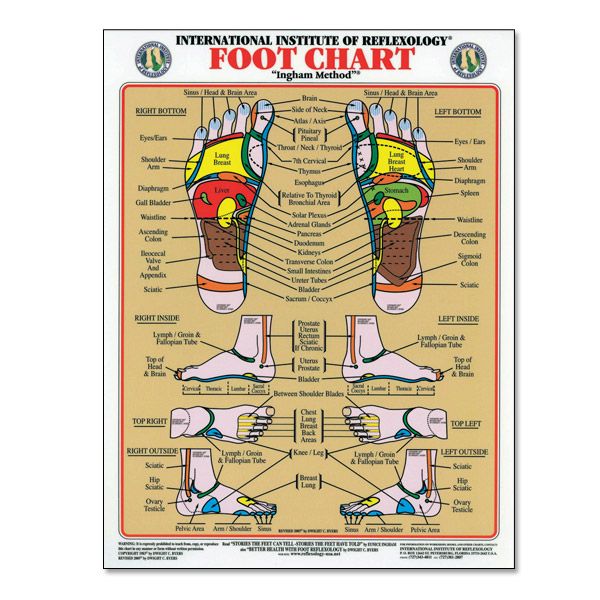 International Institute Of Reflexology Foot Chart